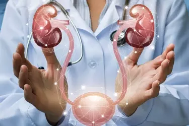 "best hospital for kidney stone surgery in Narsinghpur, best doctor for kidney stone treatment in Narsinghpur, cost of kidney stone surgery in Narsinghpur