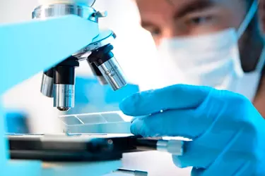 best pathology lab in narsinghpur, best lab for blood test in narsinghpur, best nabl lab in narsinghpur